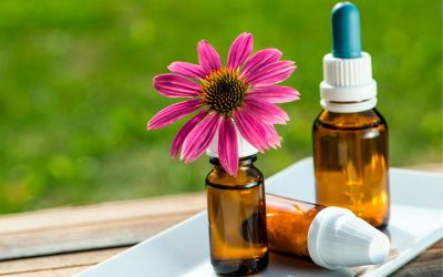 ¿Cómo ayudo a mi hijo/a a reducir el estrés escolar con Flores de Bach?