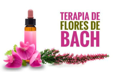 Flores de Bach para la Familia